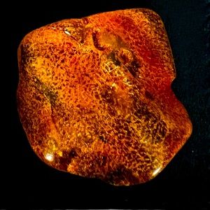 Baltic Amber Gemstone